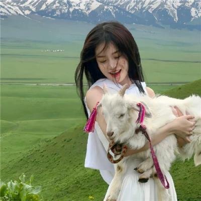 美狄亚